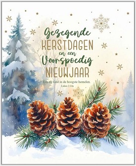 Kerstkaarten 9565